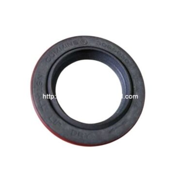 oil seal