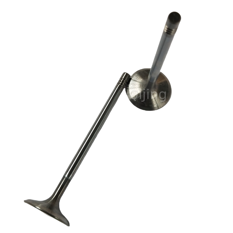 Cummins PM40004172 Intake Valve for Foton 4F25TC & Heavy-Duty Engines