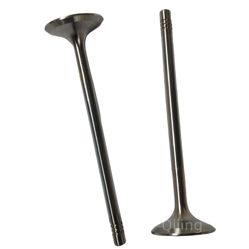 Cummins PM40004173 Exhaust Valve for Foton 4F25TC Diesel Engines